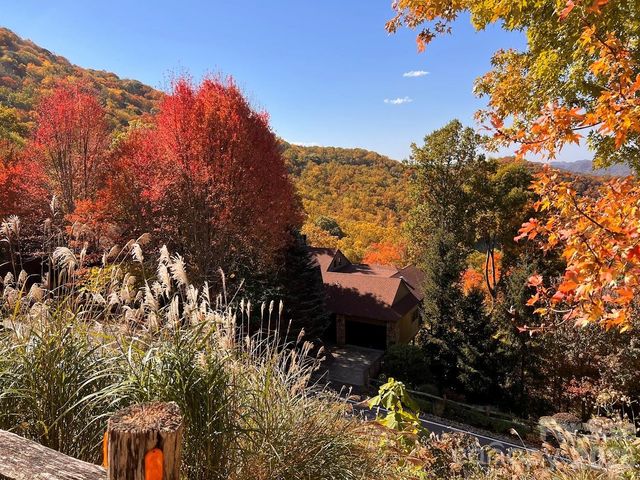 755 Andrew Banks Road, Burnsville, NC 28714