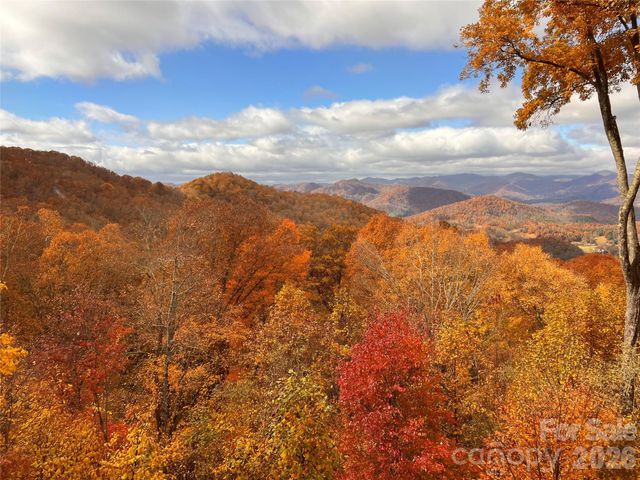 755 Andrew Banks Road, Burnsville, NC 28714