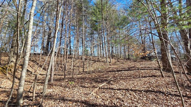 Lt 12 Mountain Laurel Est., Young Harris, GA 30582