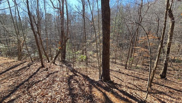 Lt 12 Mountain Laurel Est., Young Harris, GA 30582