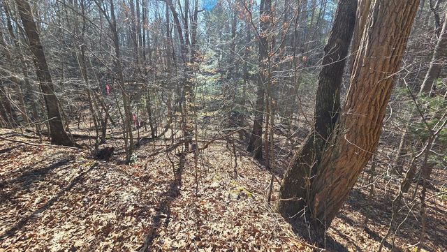 Lt 12 Mountain Laurel Est., Young Harris, GA 30582