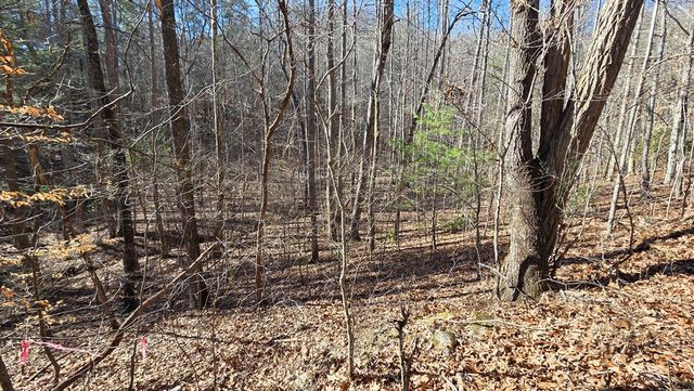 Lt 12 Mountain Laurel Est., Young Harris, GA 30582