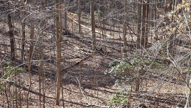 Lt 12 Mountain Laurel Est., Young Harris, GA 30582