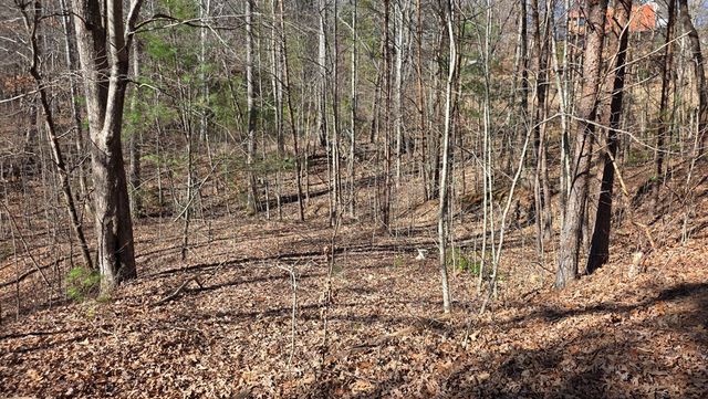 Lt 12 Mountain Laurel Est., Young Harris, GA 30582