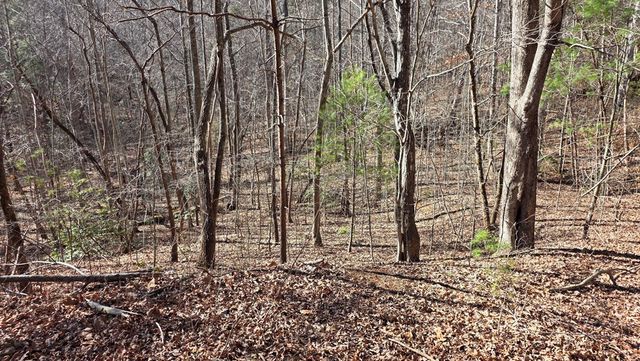 Lt 12 Mountain Laurel Est., Young Harris, GA 30582