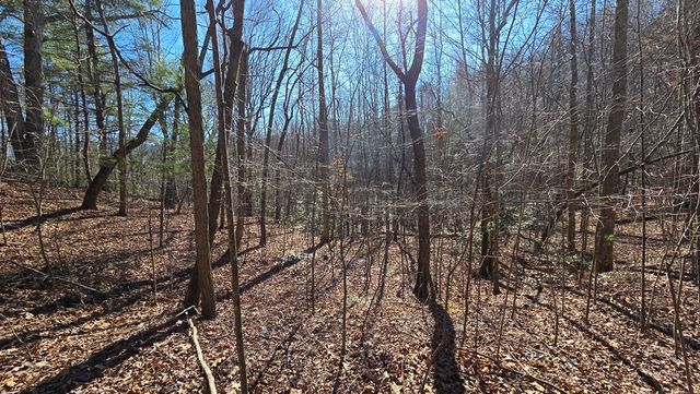 Lt 12 Mountain Laurel Est., Young Harris, GA 30582