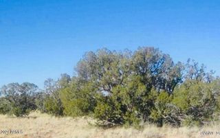tbd Squaw Tank Vista Drive -, Heber, AZ 85928