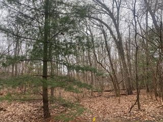 18657 Forest Beach Drive, New Buffalo, MI 49117