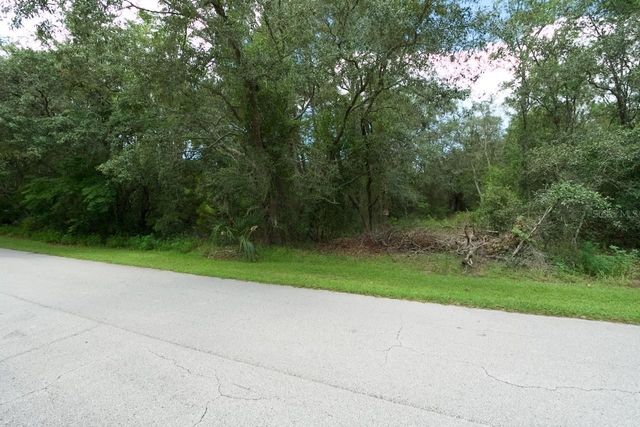 CENTERWOOD AVENUE, Spring Hill, FL 34606