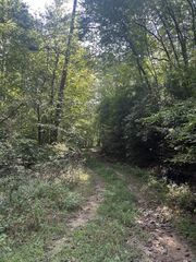 Tr 5 Mountain Pass Drive, Hayesville, NC 28904