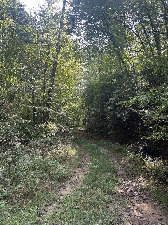 Tr 5 Mountain Pass Drive, Hayesville, NC 28904