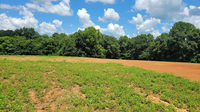 8 Mount Lebanon Church Rd, Shelbyville, TN 37160