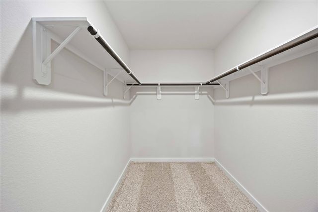 25319 Yellowbells Place, Montgomery, TX 77316