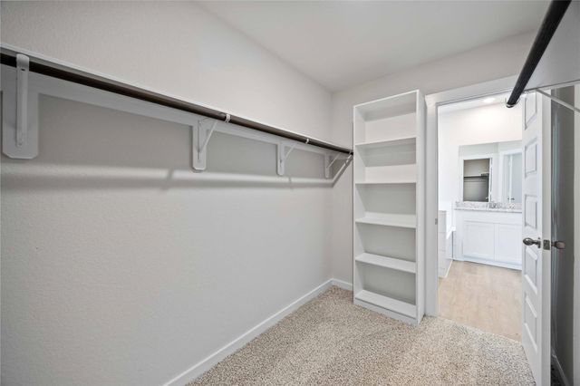 25319 Yellowbells Place, Montgomery, TX 77316