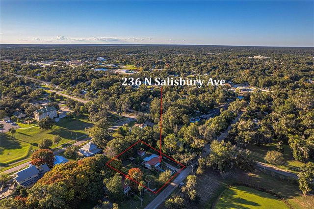 236 N SALISBURY AVENUE, Deland, FL 32720