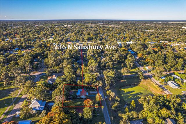 236 N SALISBURY AVENUE, Deland, FL 32720