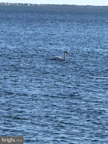 115 BAY PKWY, Waretown, NJ 08758