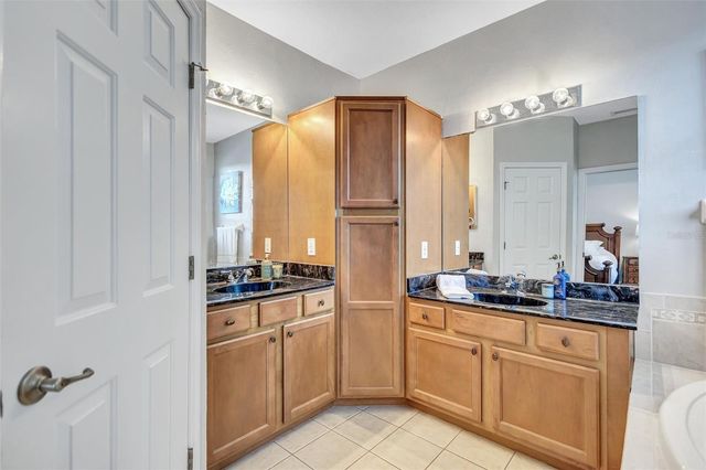 14520 MIRABELLE VISTA CIRCLE, Tampa, FL 33626