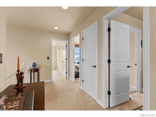 1624 Chokeberry Street, Berthoud, CO 80513