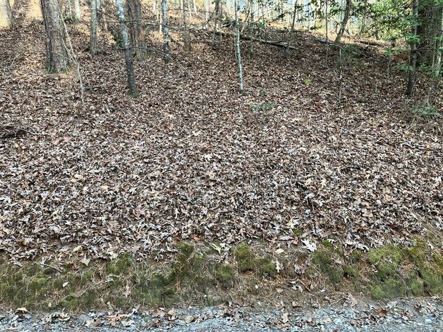Lot 26a Amandas Way, Murphy, NC 28906