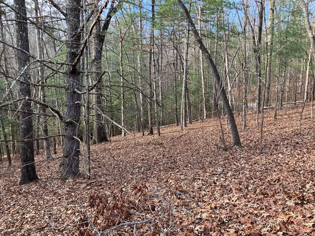 Lot 26a Amandas Way, Murphy, NC 28906