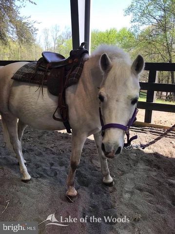 205 FAIRFAX LN, Locust Grove, VA 22508