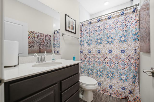 1032 Blazing Star Street, South Elgin, IL 60177