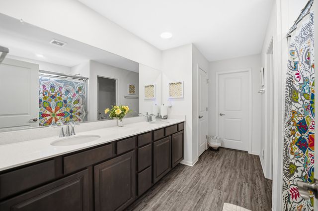 1032 Blazing Star Street, South Elgin, IL 60177