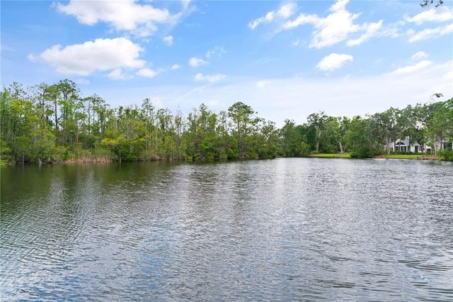 337 Lake Stillwater Drive, St Simons Island, GA 31522