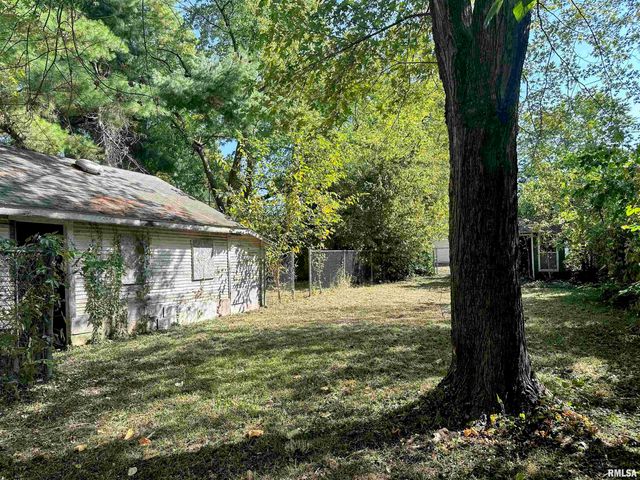 313 CASTLETON Avenue, Mt Vernon, IL 62864