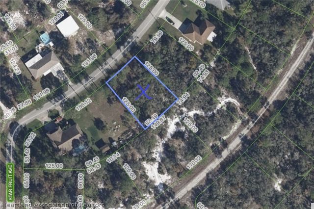 738 Star Fruit Avenue, Lake Placid, FL 33852