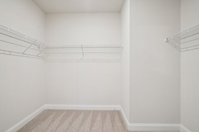 1080 Large Poppy Drive, La Vergne, TN 37086