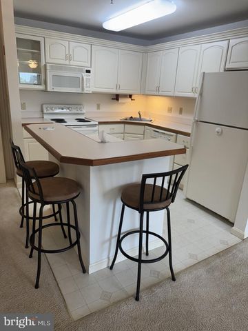1103 S SCHUMAKER DR #C-300, Salisbury, MD 21804