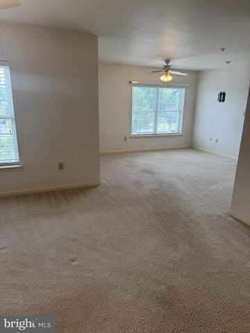 1103 S SCHUMAKER DR #C-300, Salisbury, MD 21804