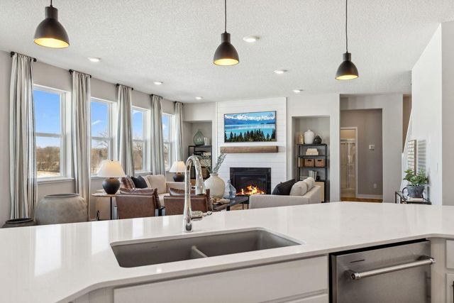 13375 Applewood Trail, Rosemount, MN 55068