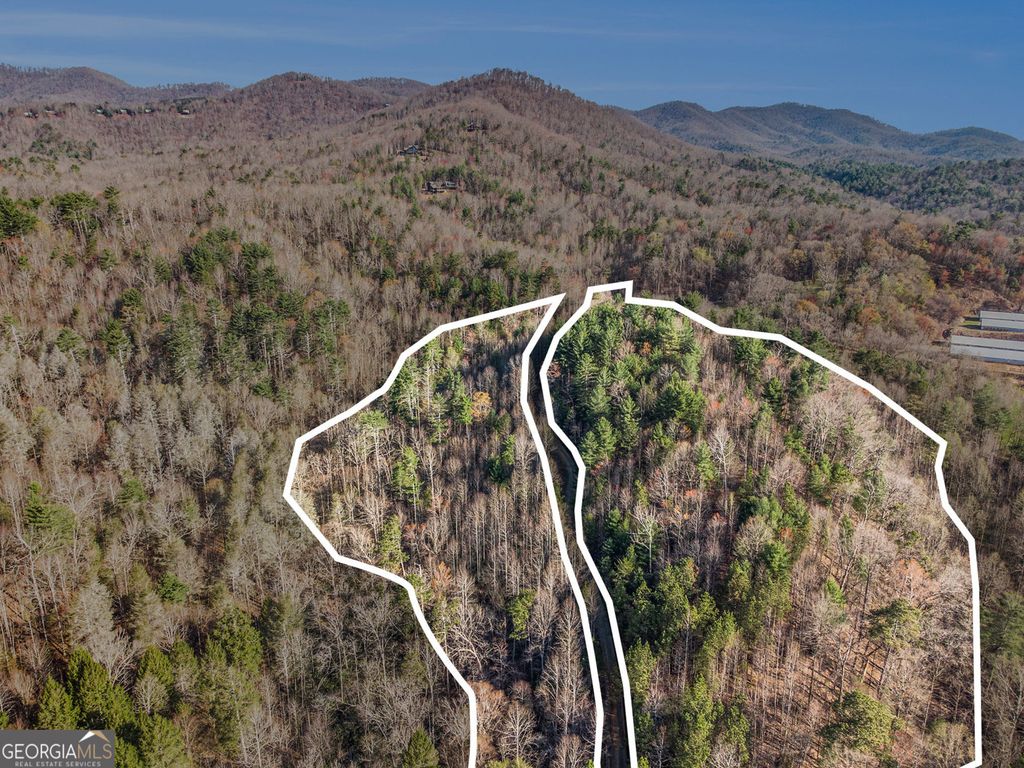 0 Bryant Farm Lane, Ellijay, GA 30540