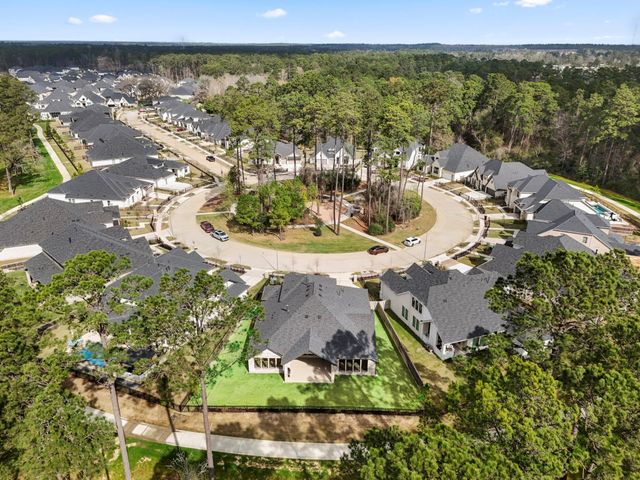 30 Arctic Tern Circle, Magnolia, TX 77354