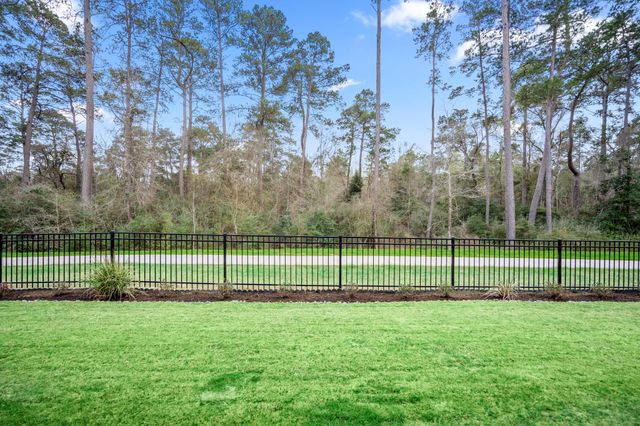 30 Arctic Tern Circle, Magnolia, TX 77354