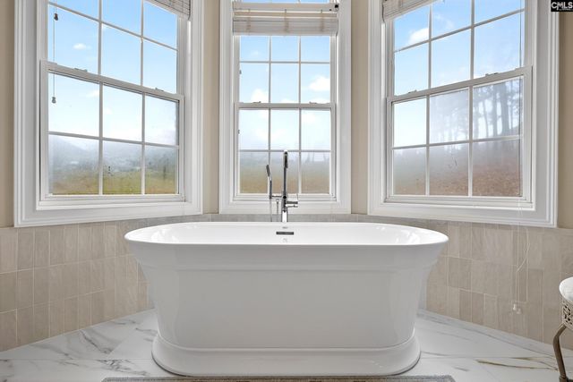 412 Lookover Pointe Drive, Chapin, SC 29036