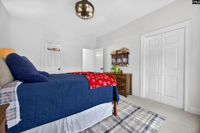 412 Lookover Pointe Drive, Chapin, SC 29036