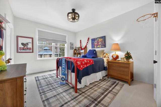 412 Lookover Pointe Drive, Chapin, SC 29036