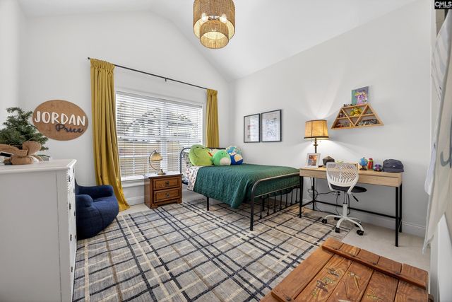 412 Lookover Pointe Drive, Chapin, SC 29036