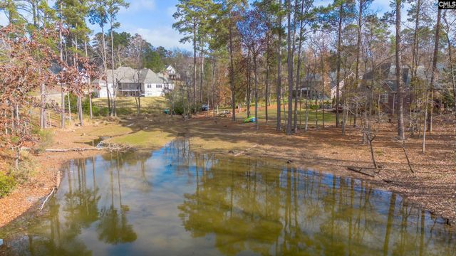 412 Lookover Pointe Drive, Chapin, SC 29036