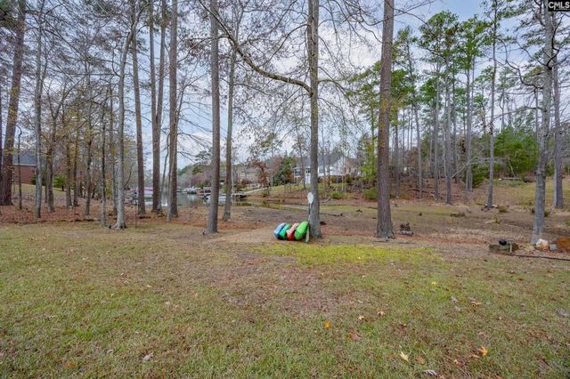 412 Lookover Pointe Drive, Chapin, SC 29036