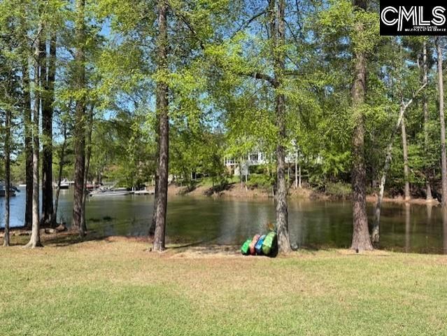 412 Lookover Pointe Drive, Chapin, SC 29036