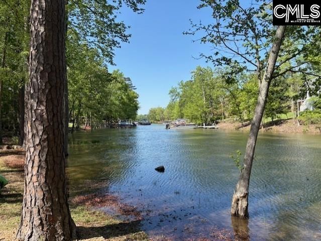 412 Lookover Pointe Drive, Chapin, SC 29036