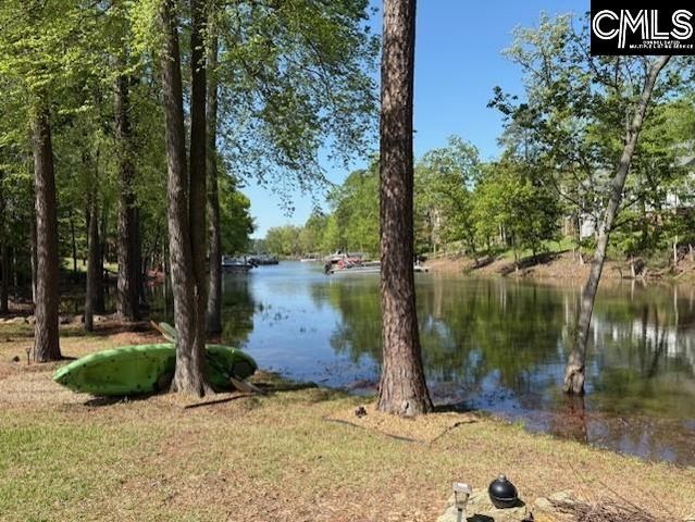 412 Lookover Pointe Drive, Chapin, SC 29036