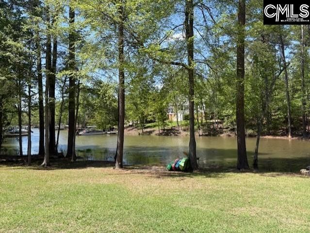 412 Lookover Pointe Drive, Chapin, SC 29036