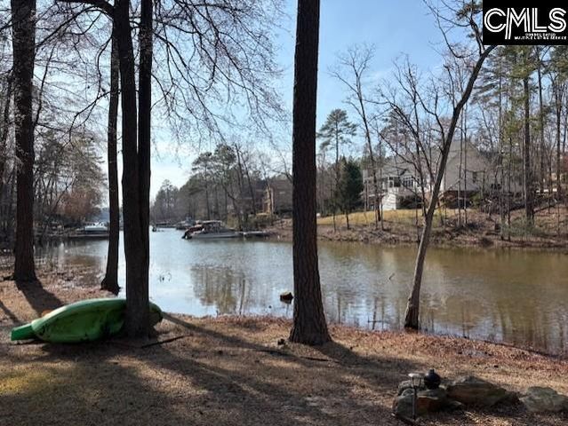 412 Lookover Pointe Drive, Chapin, SC 29036