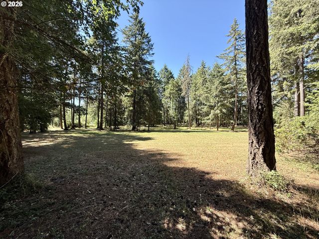 89989 GOLDIE Ln, Elmira, OR 97437